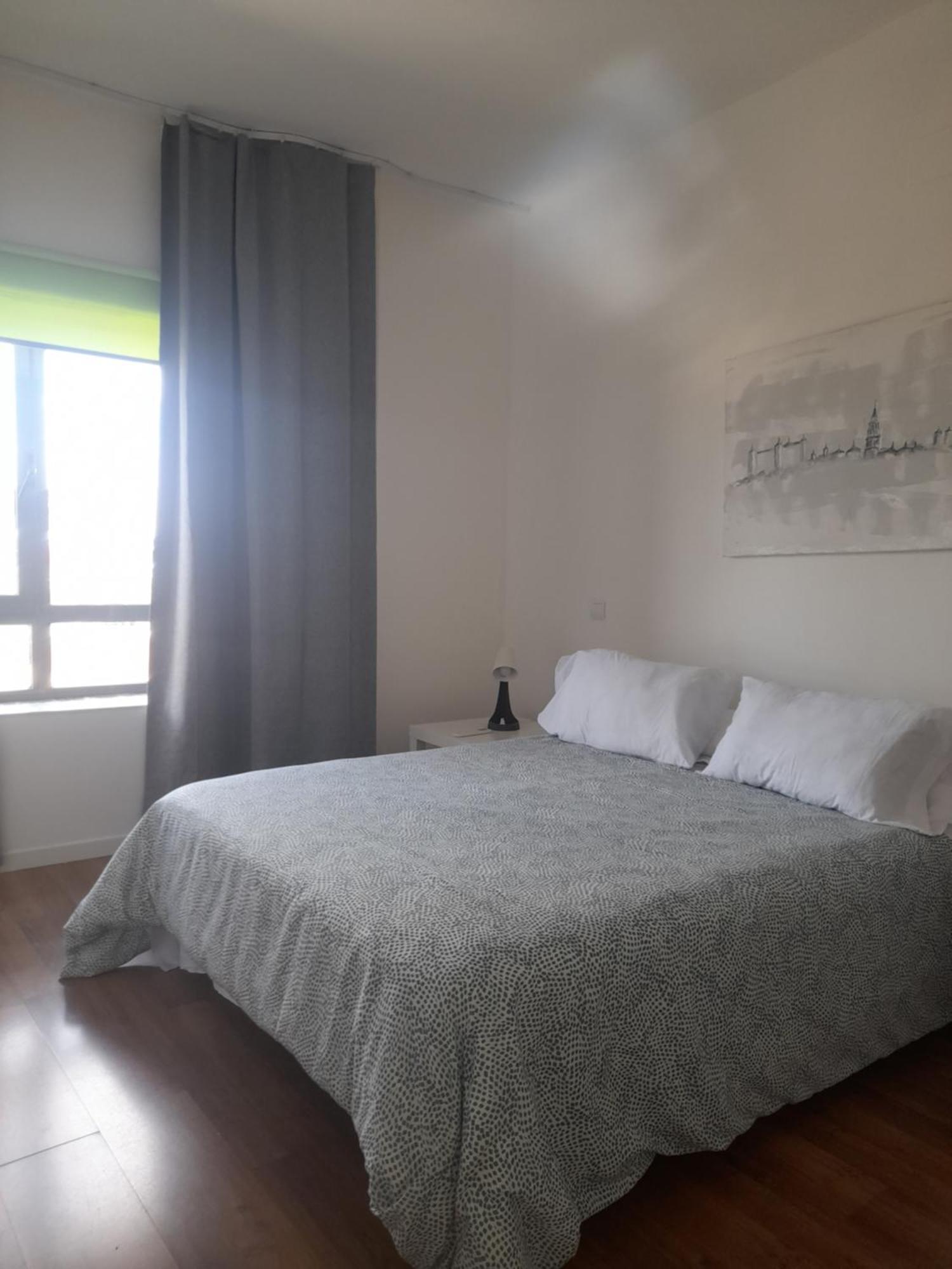 Toletum Low Cost Lofts Diafanos O 2Dormitorios Parking Municipal Gratis Al Aire Libre A 100M توليدو المظهر الخارجي الصورة